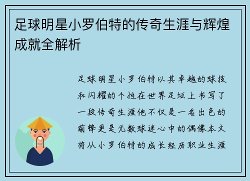 足球明星小罗伯特的传奇生涯与辉煌成就全解析